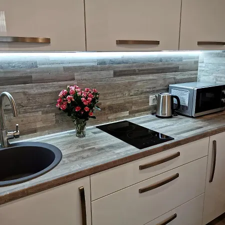 Indream New Cosy Modern Апартаменты Клайпеда