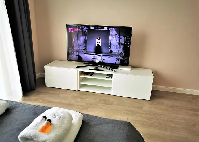 Indream New Cosy Modern Apartment Klaipeda