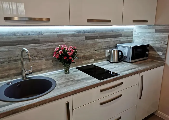 Indream New Cosy Modern Apartment Klaipeda