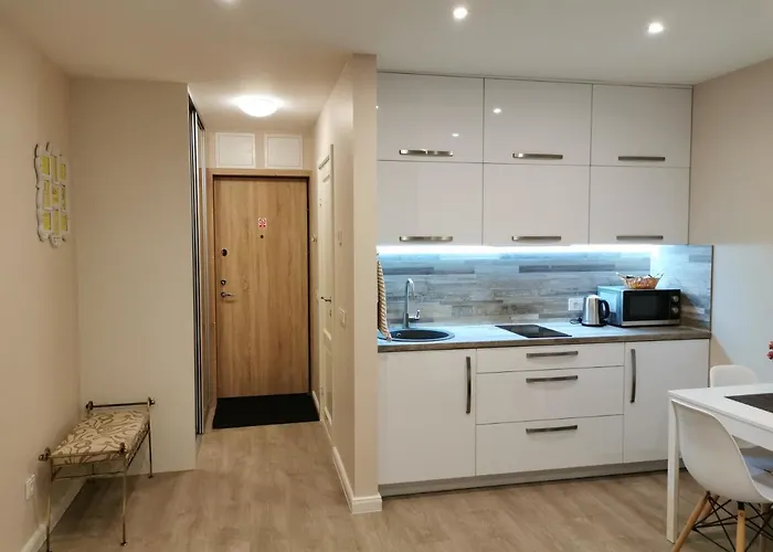 Apartment Indream New Cosy Modern Klaipeda